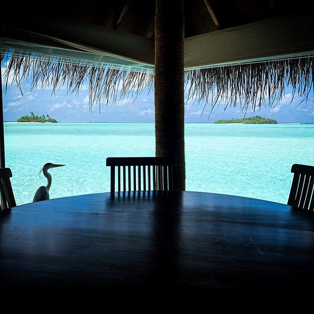 Kaafu Atoll, Maldives