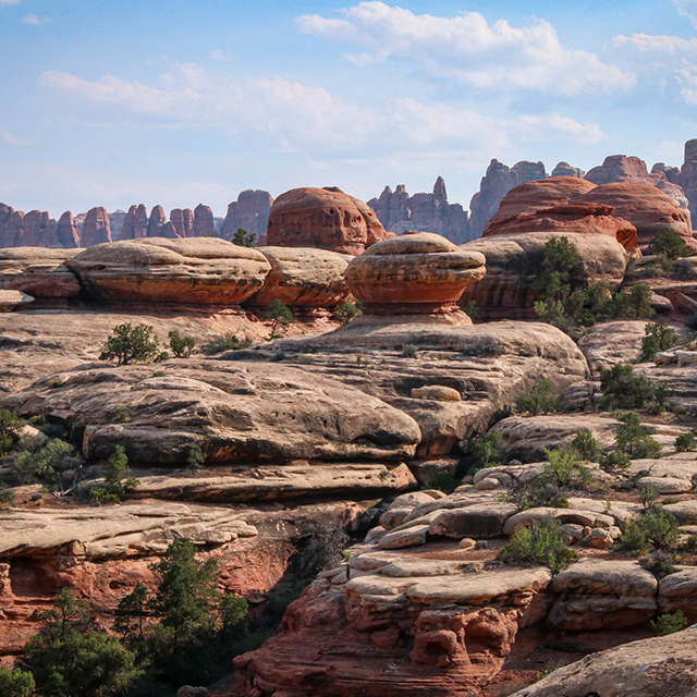 The Needles, Canyonlands National Park, Utah
