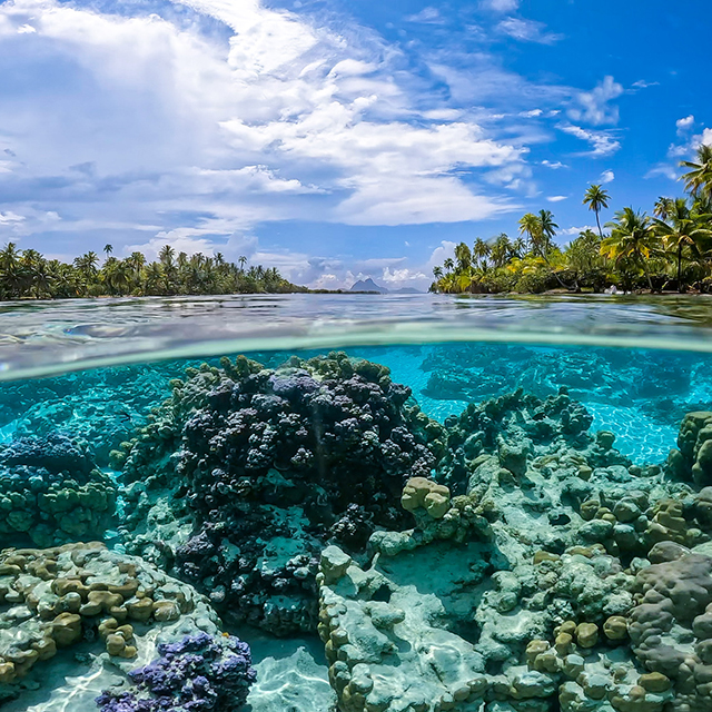 Taha'a, French Polynesia